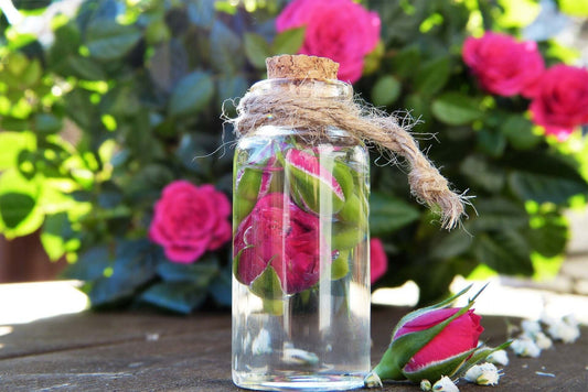 Rose Water Series: What Is Rose Water?