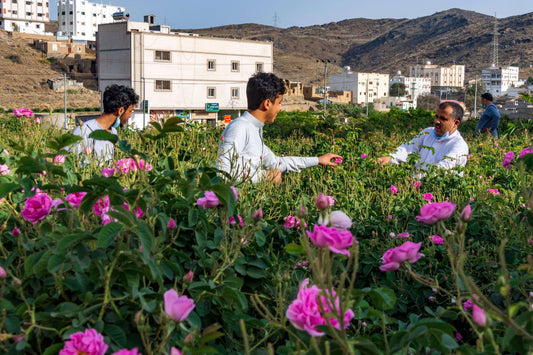 Rose Water Series: Rose Water In The Arab World