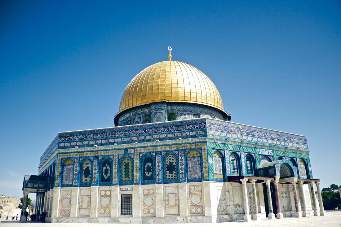 Pasha International's Official Statement on the Violence against Palestinians